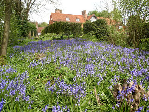 杰基爾 花園 藝術(shù)