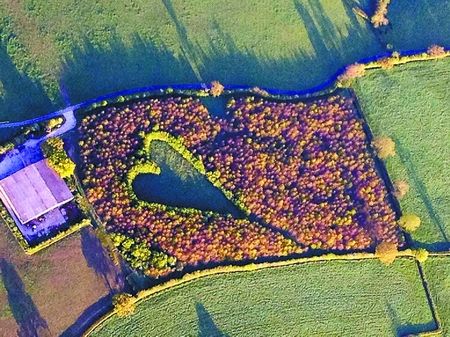 英國 農夫 綠化