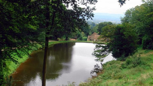 杰基爾 花園 藝術(shù)