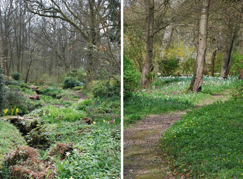 杰基爾 花園 藝術