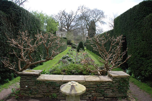 杰基爾 花園 藝術(shù)