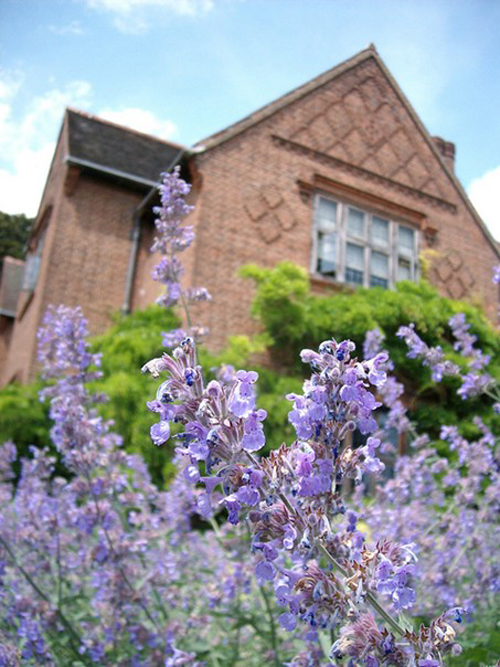 杰基爾 花園 藝術(shù)