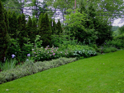 杰基爾 花園 藝術(shù)