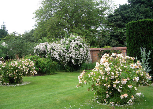 杰基爾 花園 藝術