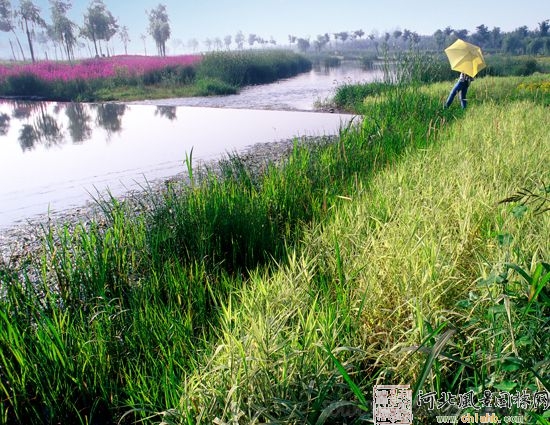 唐山 園林城市群 綠色 遷安 中國風景園林網