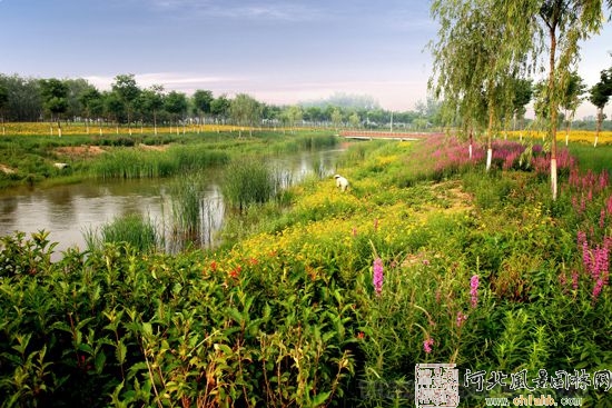 唐山 園林城市群 綠色 遷安 中國風景園林網