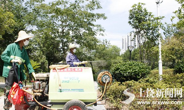 江西 上饒 綠化