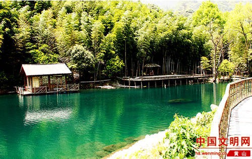 黃山 綠化 生態