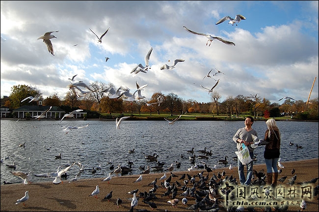 紅框就是當(dāng)年建造“水晶宮”的位置