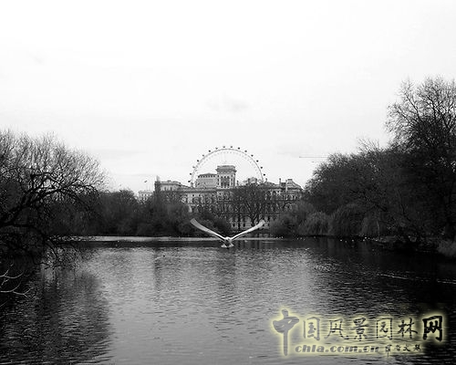 圣詹姆斯公園 中國風景園林網