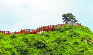 北京 延慶 花海