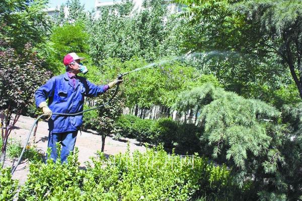 園林 植物 澆水