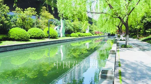 中國風景園林網 園林綠化 工程動態