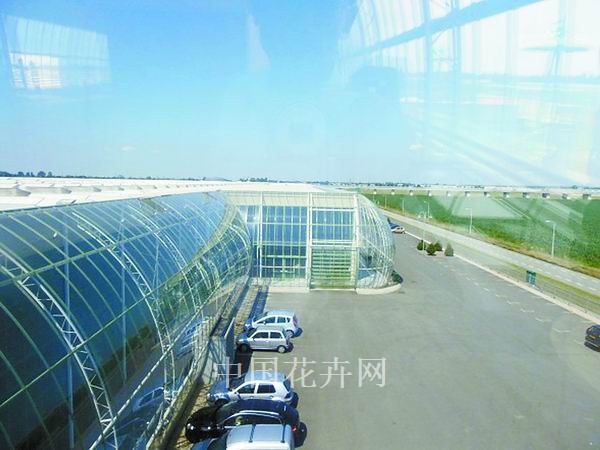 荷蘭 花企 節(jié)能