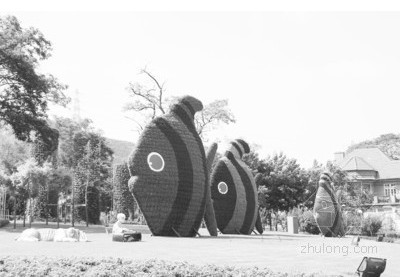 大連 綠化 立體綠化