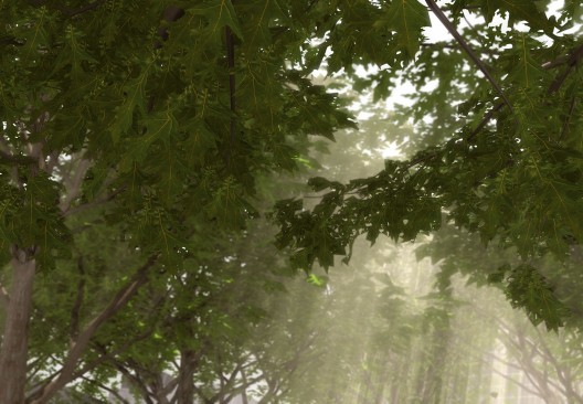 911 911國家紀念館 邁克阿拉德