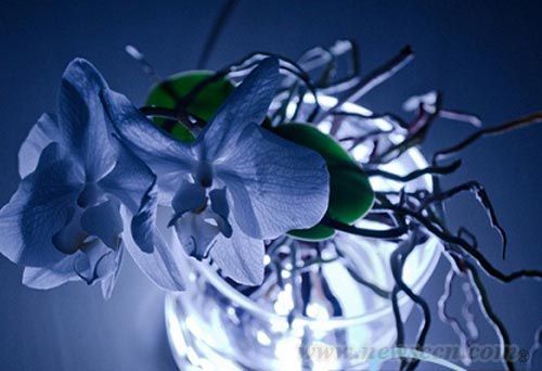 AuraLamp燈具 花瓶與燈具 燈具設計 中國風景園林網