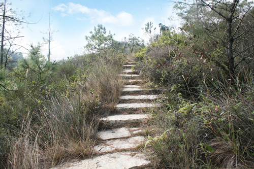 廣東 綠道 香洲