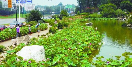 四川 植物 綠道