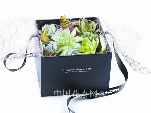 花卉 禮物 教師節(jié)