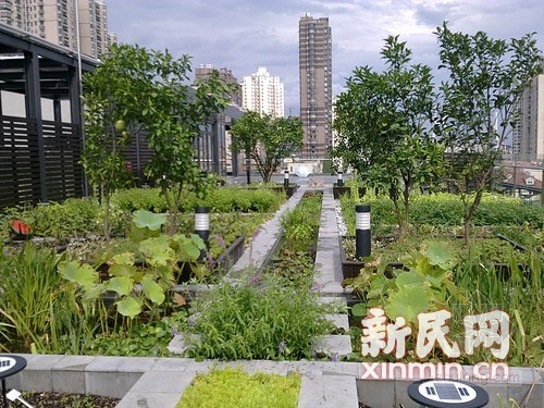 中國風景園林網