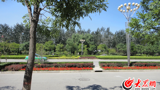 德州 綠化 景觀 創城 中國風景園林網