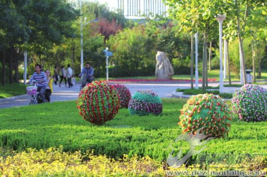 山東 明月湖 盆花