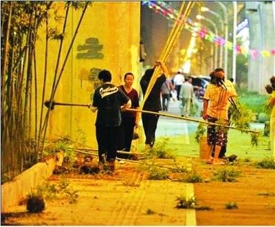 武漢 連根拔起 竹葉山 立交橋 綠化竹 中國(guó)風(fēng)景園林網(wǎng)