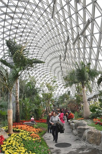 上海植物園花展