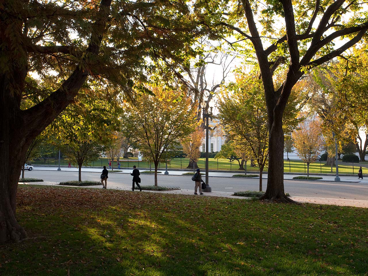 中國(guó)風(fēng)景園林網(wǎng) 規(guī)劃設(shè)計(jì)