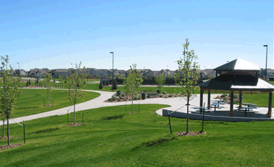 中國風景園林網 規劃設計