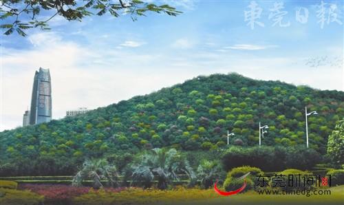 中國風景園林網