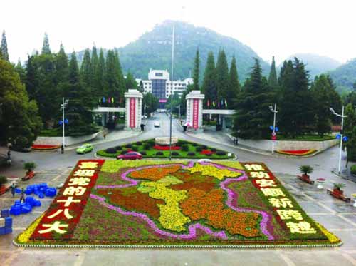 貴州 盆花 地圖