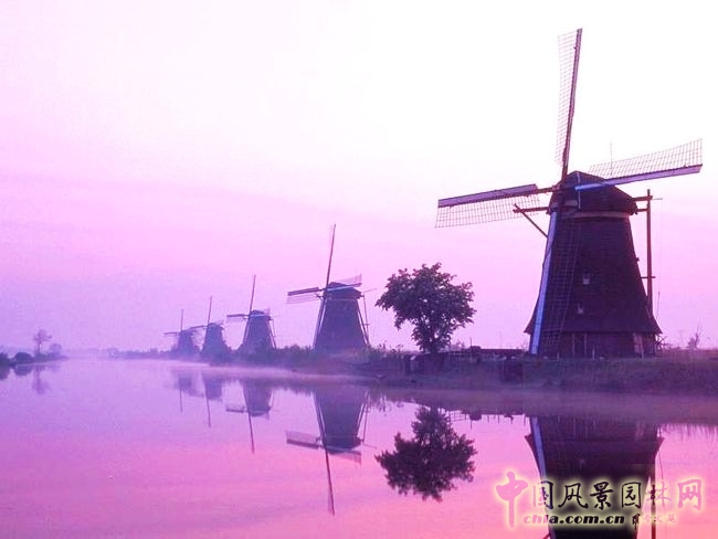 荷蘭風車群 中國風景園林網