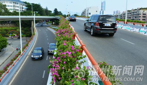 福州 綠化 立交橋