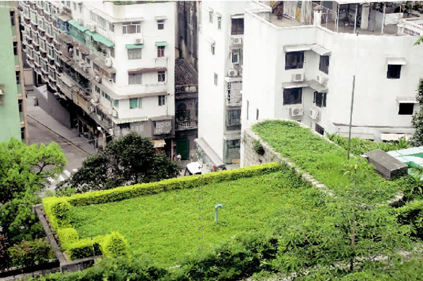 城市 屋頂 借綠 建筑 綠化 中國風景園林網