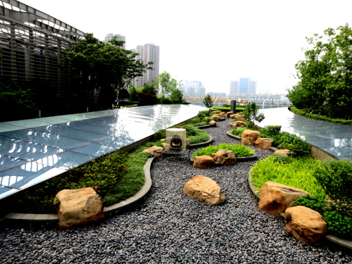 錢江新城 屋頂綠化群 中國風景園林網