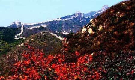 中國風景園林網 園林動態