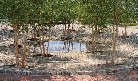 中國風景園林網 規劃設計