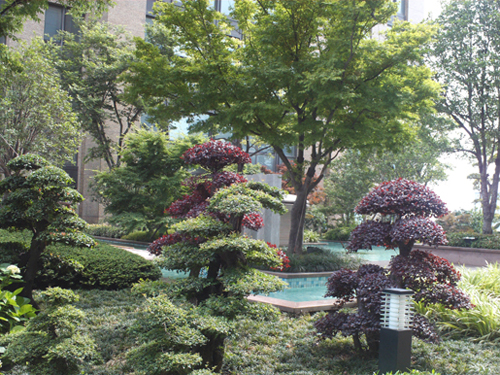 泰和·天辰國際 空中花園 屋頂綠化 中國風景園林網