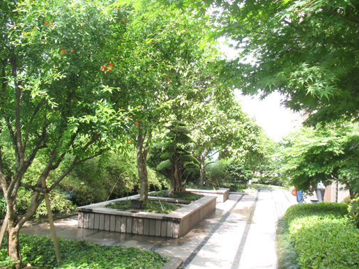 泰和·天辰國際 空中花園 屋頂綠化 中國風景園林網(wǎng)