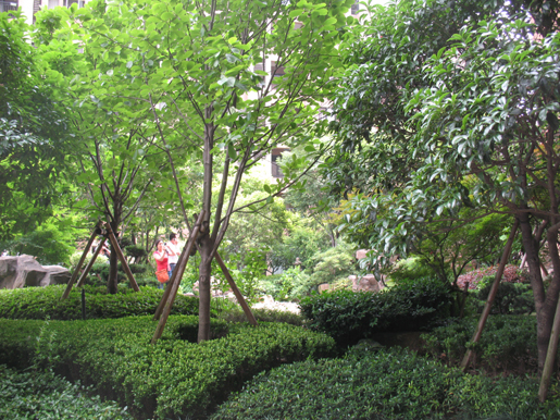 泰和·天辰國際 空中花園 屋頂綠化 中國風景園林網(wǎng)