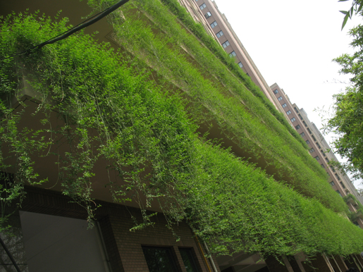 泰和·天辰國際 空中花園 屋頂綠化 中國風景園林網(wǎng)