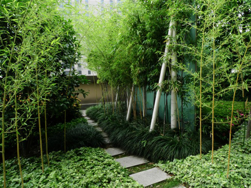 泰和·天辰國際 空中花園 屋頂綠化 中國風景園林網(wǎng)