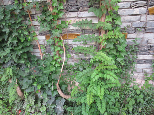 中國美術(shù)學院 王澍 綠色 建筑 設(shè)計 屋頂 綠化 中國風景園林網(wǎng)