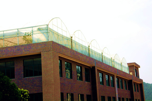 千島湖 屋頂 家業(yè) 綠化 綠色 建筑 中國風景園林網