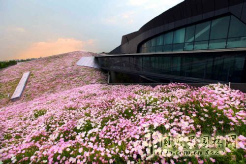 空中花海 國內(nèi) 最大 屋頂花園 巨人網(wǎng)絡(luò)總部 中國風(fēng)景園林網(wǎng)