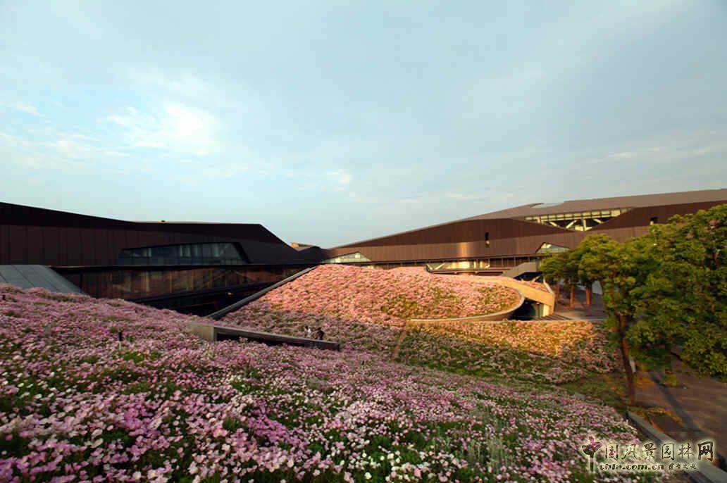 空中花海 國內(nèi) 最大 屋頂花園 巨人網(wǎng)絡(luò)總部 中國風(fēng)景園林網(wǎng)