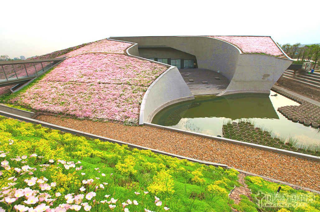 空中花海 國內 最大 屋頂花園 巨人網絡總部 中國風景園林網