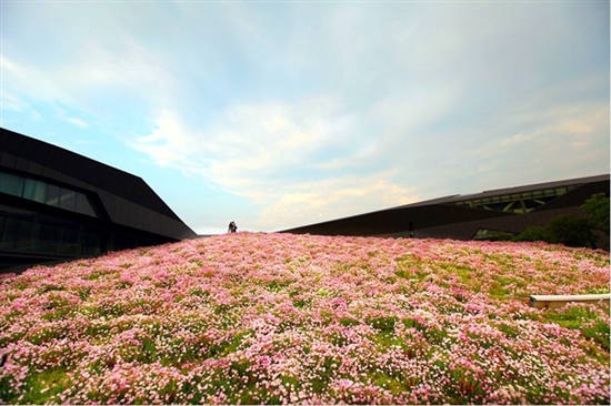 空中花海 國內(nèi) 最大 屋頂花園 巨人網(wǎng)絡(luò)總部 中國風(fēng)景園林網(wǎng)